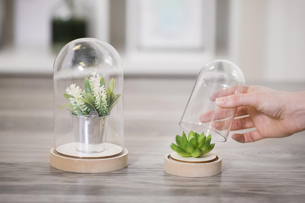 Kreativa inredningsdetaljer, Mini World: Minivärld i en kupa på träfot med minväxter