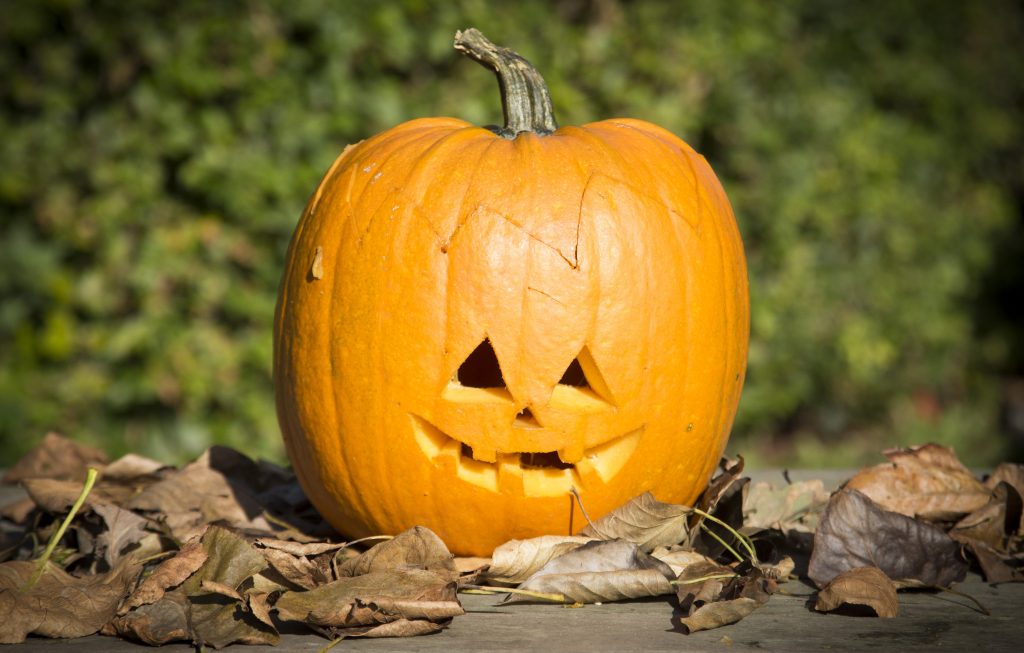 Kreativ halloween lag selv gresskarlykter med gresskar utskjæring