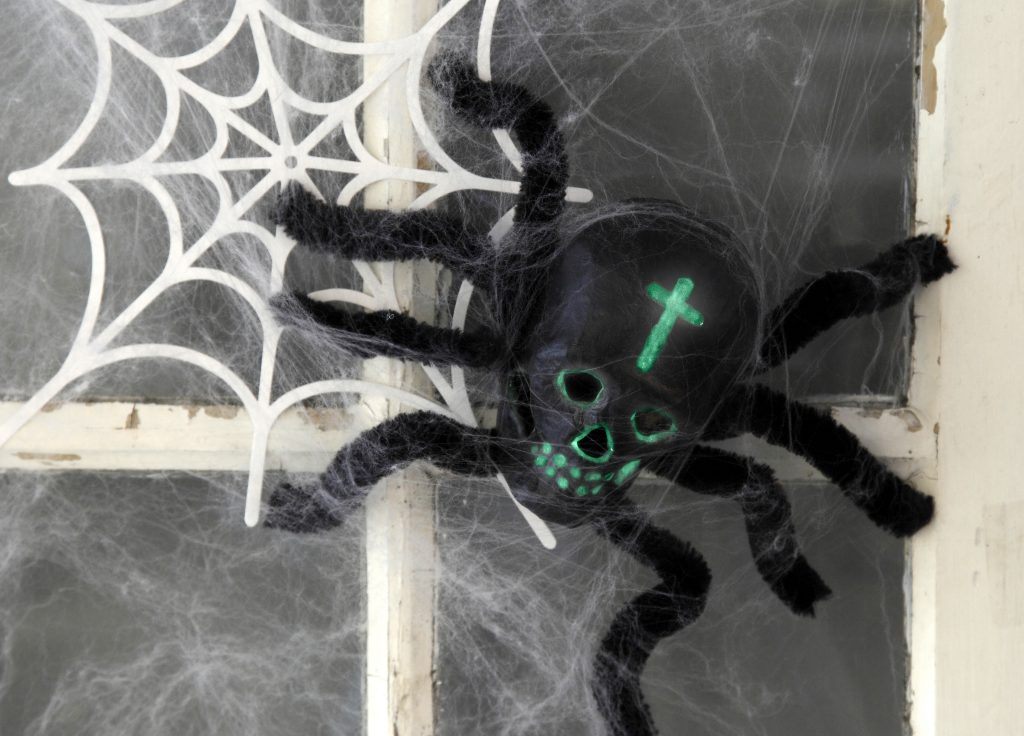 Kreativ halloween lag selv pynt med edderkopp